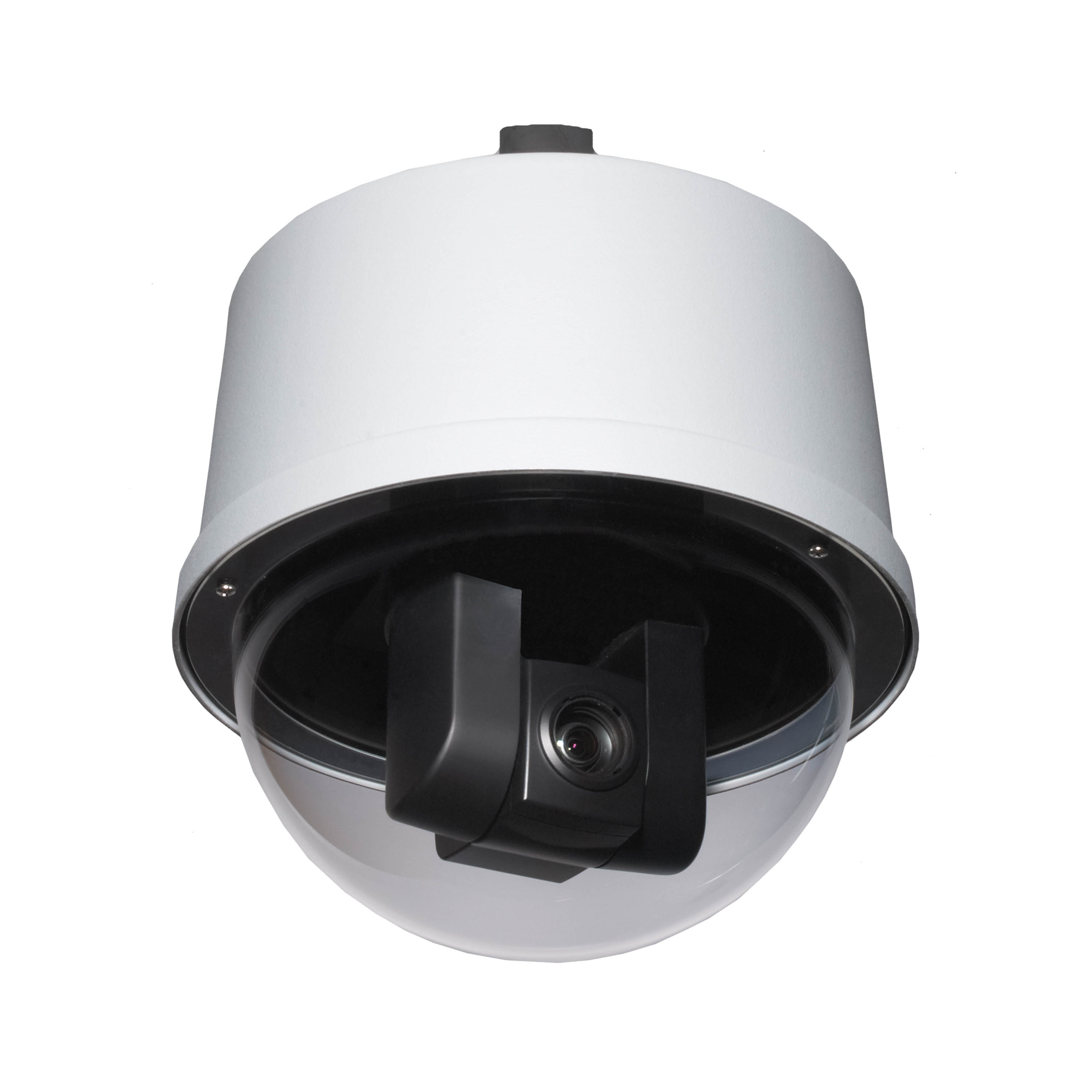 小物 dome Amazon.co.jp: 小泉ライフテックス耳付きドーム型ベッドくま